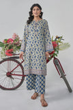 2PC Stitched Printed Lawn Shirt and Trouser RKTW-3047